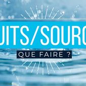 Puits et source... De l'eau dans mon jardin - Magazine des notaires de l'Isère, Drôme et hautes-Alpes