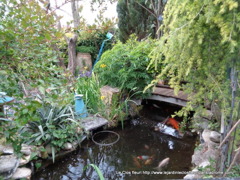 Mon jardin Le Clos fleuri à la mi Mai ......