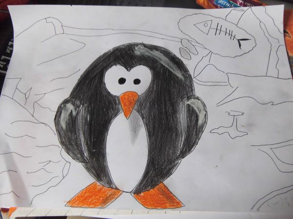 Mr.Draw-Pingouin ou manchot ?