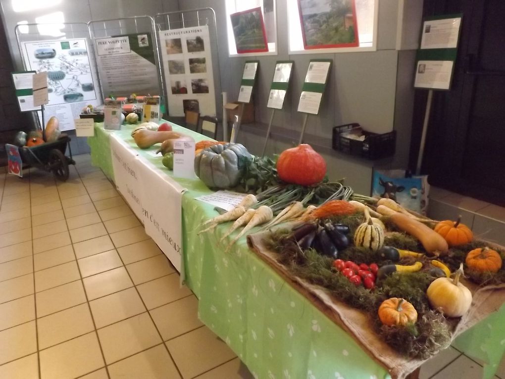 Fête de la patate gourmande 2016