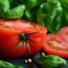 La tomate,reine des légumes - fruits