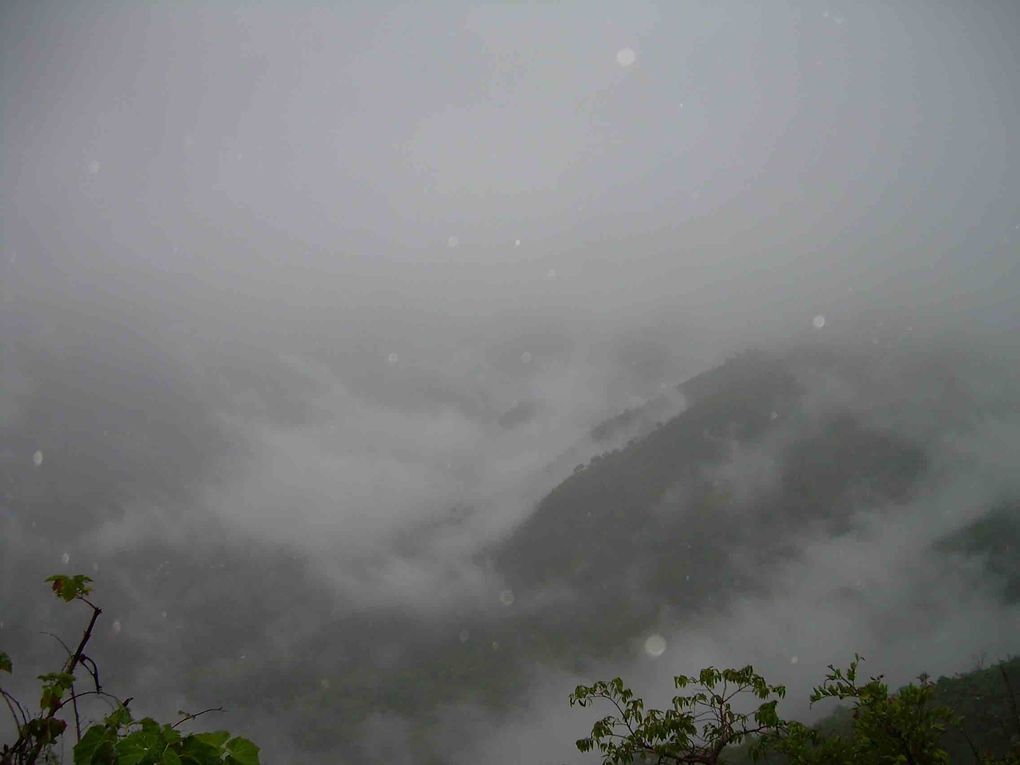 Forêt tropicale de montagne pendant la mousson - Mahabaleshwar (Inde)
Voir article: Quand la mousson bat des records