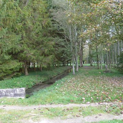 Randonnée en boucle de La Ferté-Alais - 19 km.