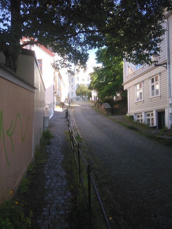 Balade dans de petites rues pittoresques (faites défiler les photos), en marchant un peu au hasard mais finissant toujours par retomber sur mes pas (le centre-ville n'est pas très très grand). Vous vous souvenez de ce que j'avais dit par rapport aux couleurs des maisons et la richesse des propriétaires ? On a de bons exemples ici (avec même une maison bleue !).