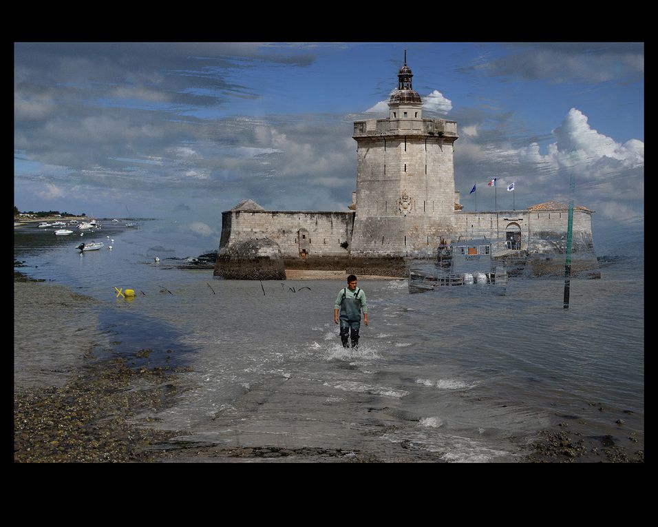 Les amoureux de la mer