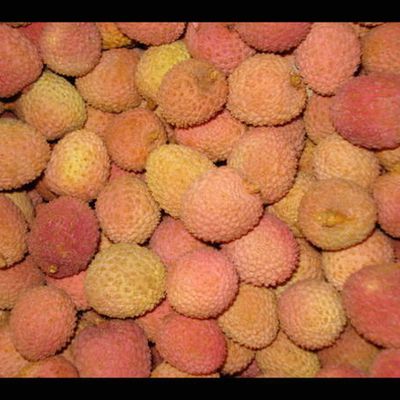 le litchi