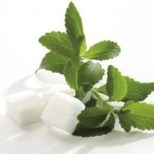 La stevia, un nouveau "sucre"