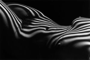 Lucien Clergue au musée des Tapisseries