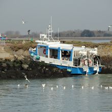 Bateau amphibie ( Saint Vaast la Hougue / Tatihou Manche 50 ) A