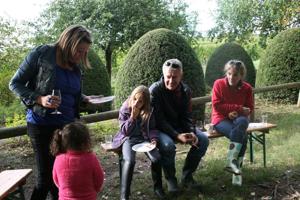 Album - vendanges-2012