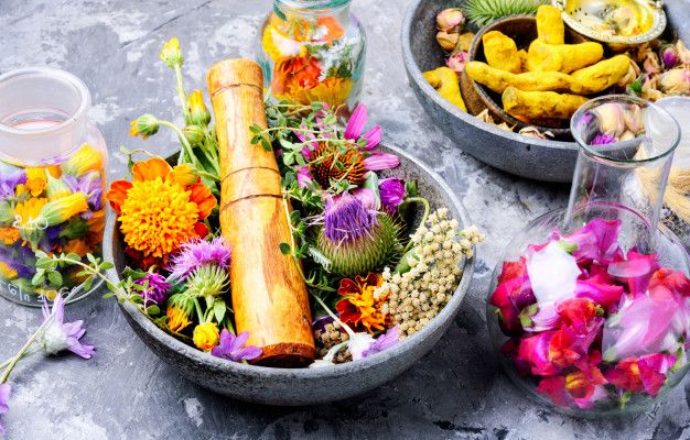 Origine et définition de la naturopathie 