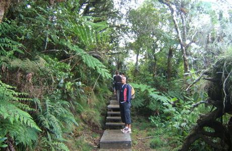 La Réunion......On continue la rando. vers le Trou de Fer