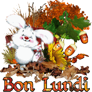 Gif animé Bon Lundi - automne - petit lapin heureux - glands - les gifs  animés de dentelledelune