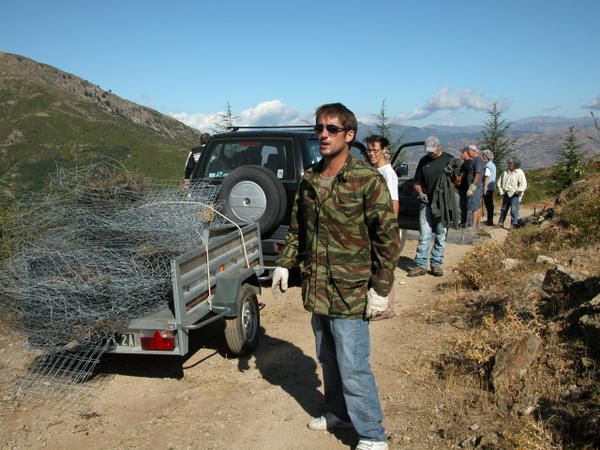 Journée d'entretien du boisement de Scaledda valle di a funtana di u pichju