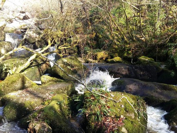 Balade dans les Landes de LOCARN