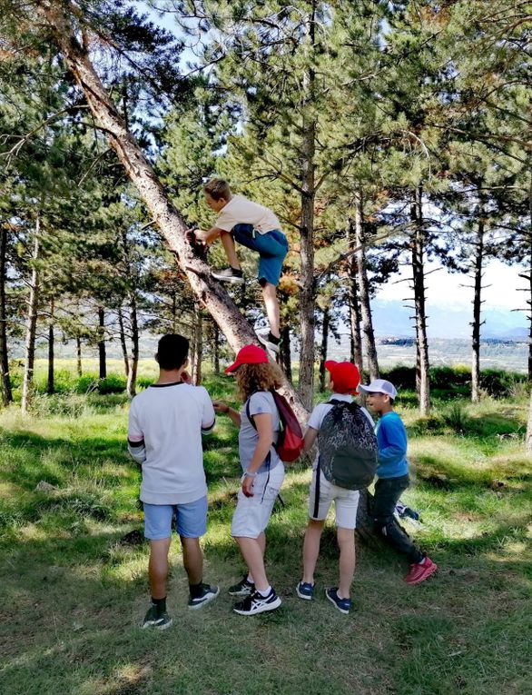 Rentrée des Jeunes/Tornada del Jovent...