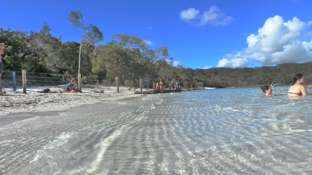 Album - Australie---Fraser-Island