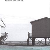 CARDINAL SONG - Nuit blanche