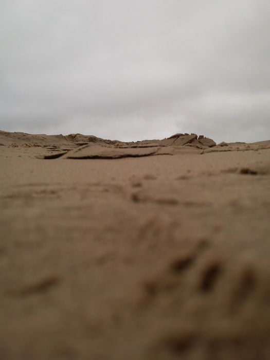 Grenen (la pointe nord du Danemark, entre la mer du Nord et la Baltique) et Raabjerg Mile (les dunes de sables), du côté de Skagen, Danemark. Automne 2010.
J'y suis allée pour accompagner des étudiants en échange universitaire.