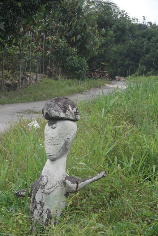 Kuching - Mongkos - Bako national park.
Certaines photos a Mongkos sont de Jennie ou depuis son appareil car en bon cretin, je decouvre que mes deux batteries sont vides...