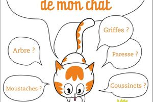 Abécédaire de mon Chat