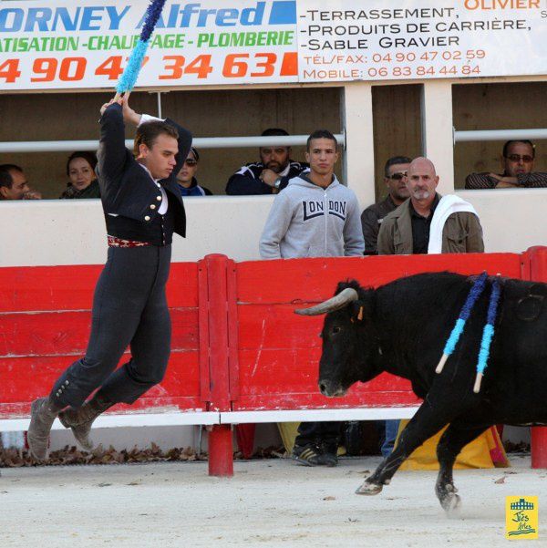 St-Martin-de-Crau Samedi 8 octobre 1011 Journée du Revivre de la Feria de la Crau Tienta de macho et de vacas et Lidia de 4 toros Ganaderias : Giraud-Malaga-Yonnet