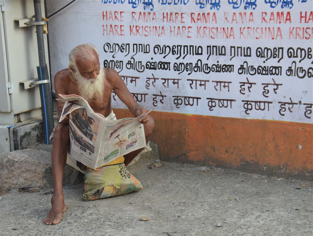 Le Kerala (Inde du Sud) : une facette attachante de l'Inde à découvrir