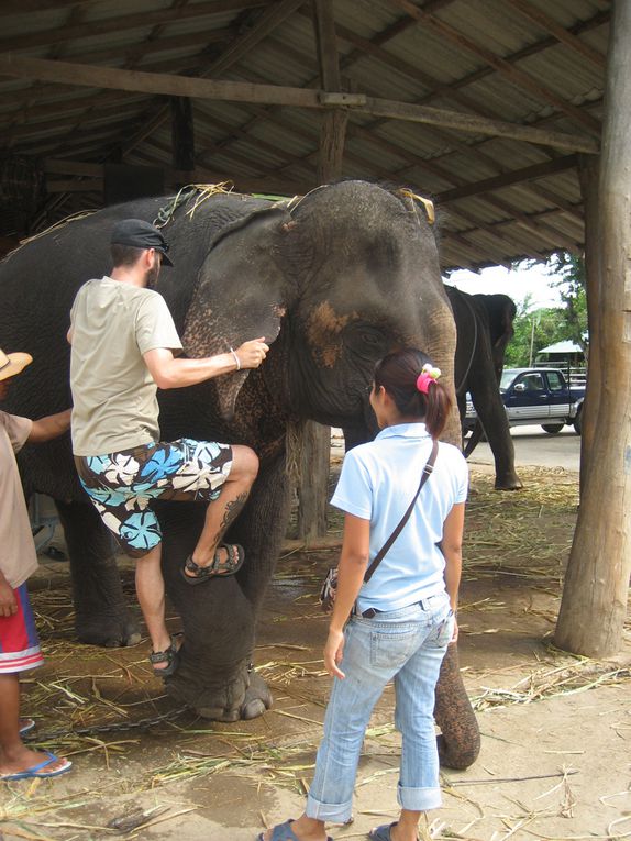 Album - Thailande, Pai