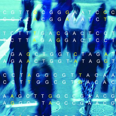 Des génomes humains séquencés par milliers