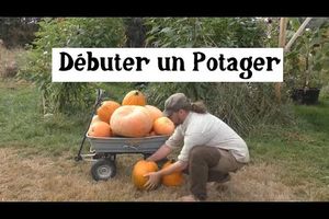 Comment faire un potager (mois par mois) ?