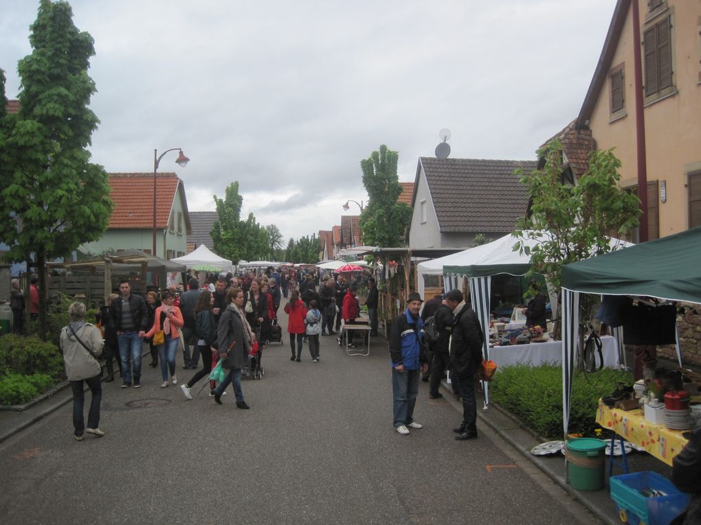 Marché Aux Puces 2015