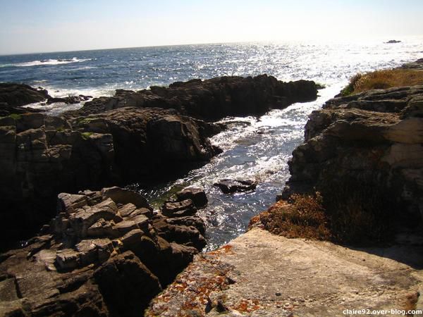 Album - OIseaux, nature et paysages