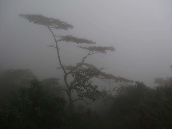 Colombie 1ére partie 