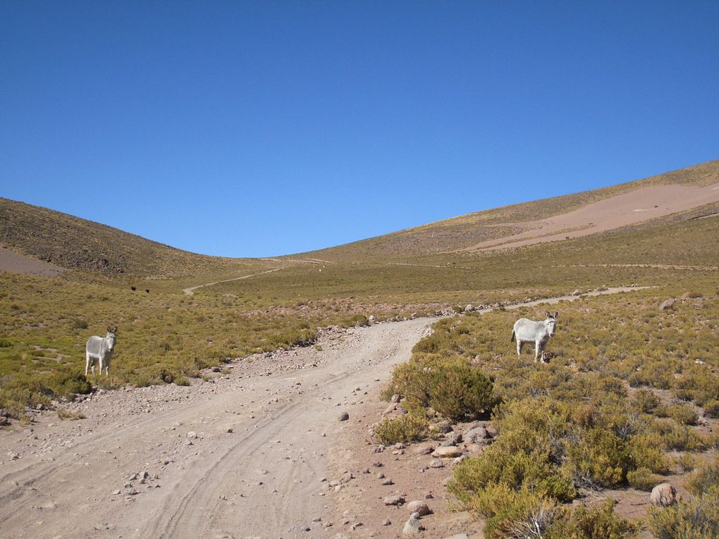 Album - CHILI-BOLIVIE2-2009