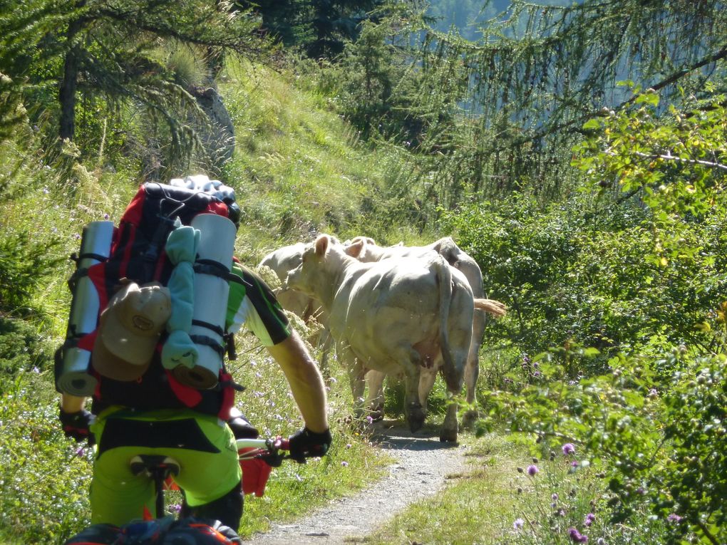 VTT-a-2, le ride mais aussi ...