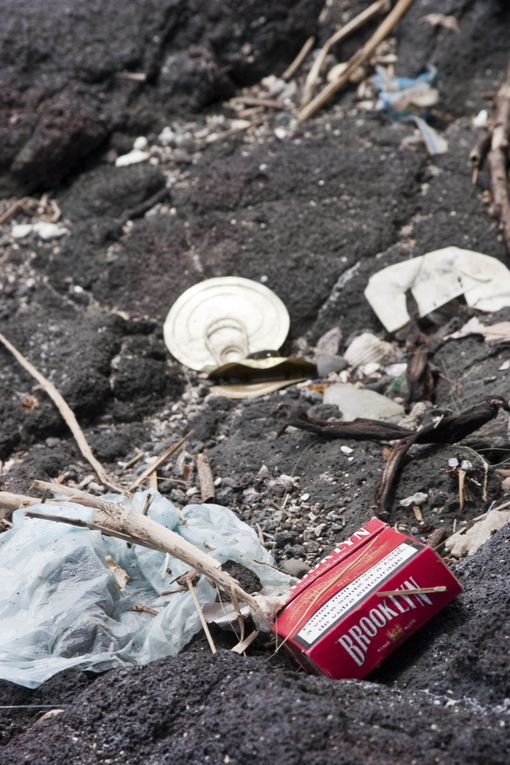 Méthode de suivi environnemental au Cap la Houssaye (Réunion) permettant d’évaluer l’état de santé d’un récif et de détecter des changements
écologiques liés à des perturbations naturelles ou humaines.