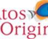 ATOS ORIGIN : RESULTATS DE L'EXERCICE 2006