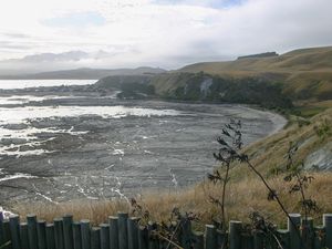 Victoria Forest Park - Hammer Springs - Kaukura