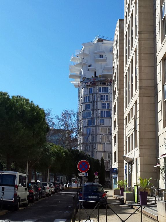 Où en est l'arbre blanc ?