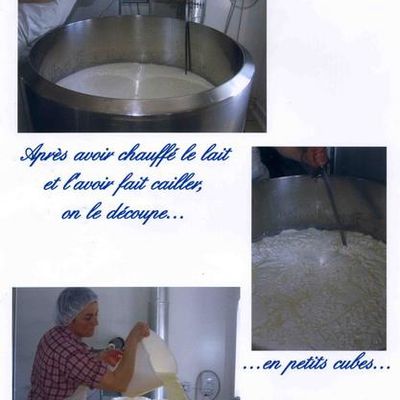 La fabrication des fromages et des yaourts