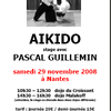 Affiche stage Pascal Guillemin à Nantes - 29 Novembre 2008