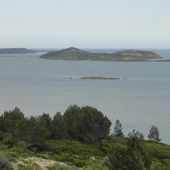 Méditerranée 2013 : Camargue, Etangs de Bages et de Sigean - Randonnées kayak : les balades de Yanike et de Rabiou II
