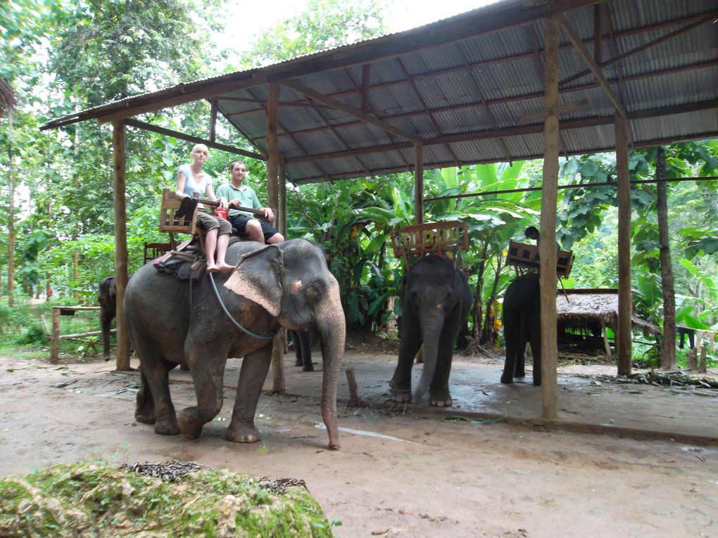 Album - Laos