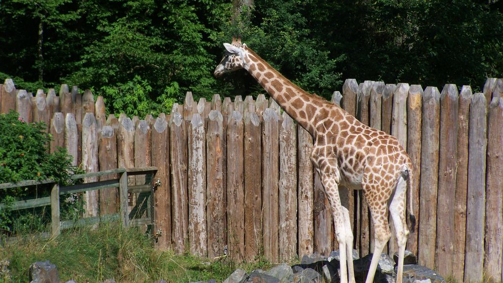 Photo personnel du parc et de son zoo