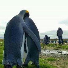 Quand tu as été recalé à l'audition de National Geographic  