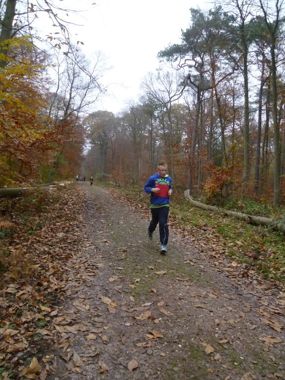 Les CE2, CM1 et CM2 de Brossolette ont participé au cross organisé par l'Office Municipal des Sports en forêt des Essarts