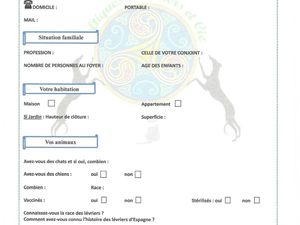 Formulaire à remplir, dater et signer et renvoyer par mail à Celtiques_levriers@orange.fr et promis juré on vous contacte rapidement