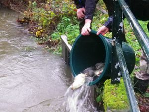 Le Pêcheur Barbezilien donne un coup de pouce au milieu aquatique !