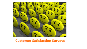Effectiveness of a Customer Satisfaction Survey
