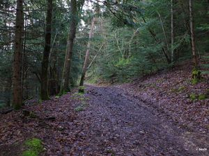 Châtel-Guyon: randonnée de la vallée des Prades